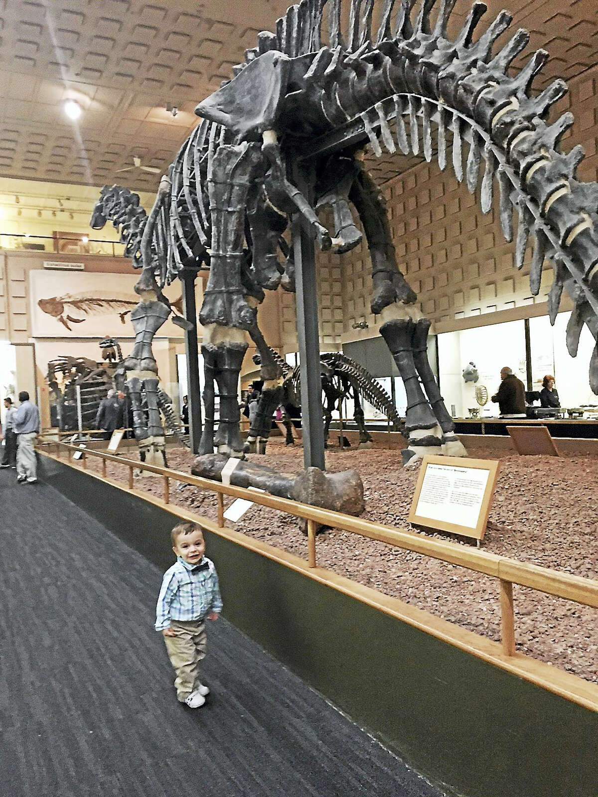 Young Dylan Shyket stands near an old brontosaurus in the Hall of the Dinosaurs.