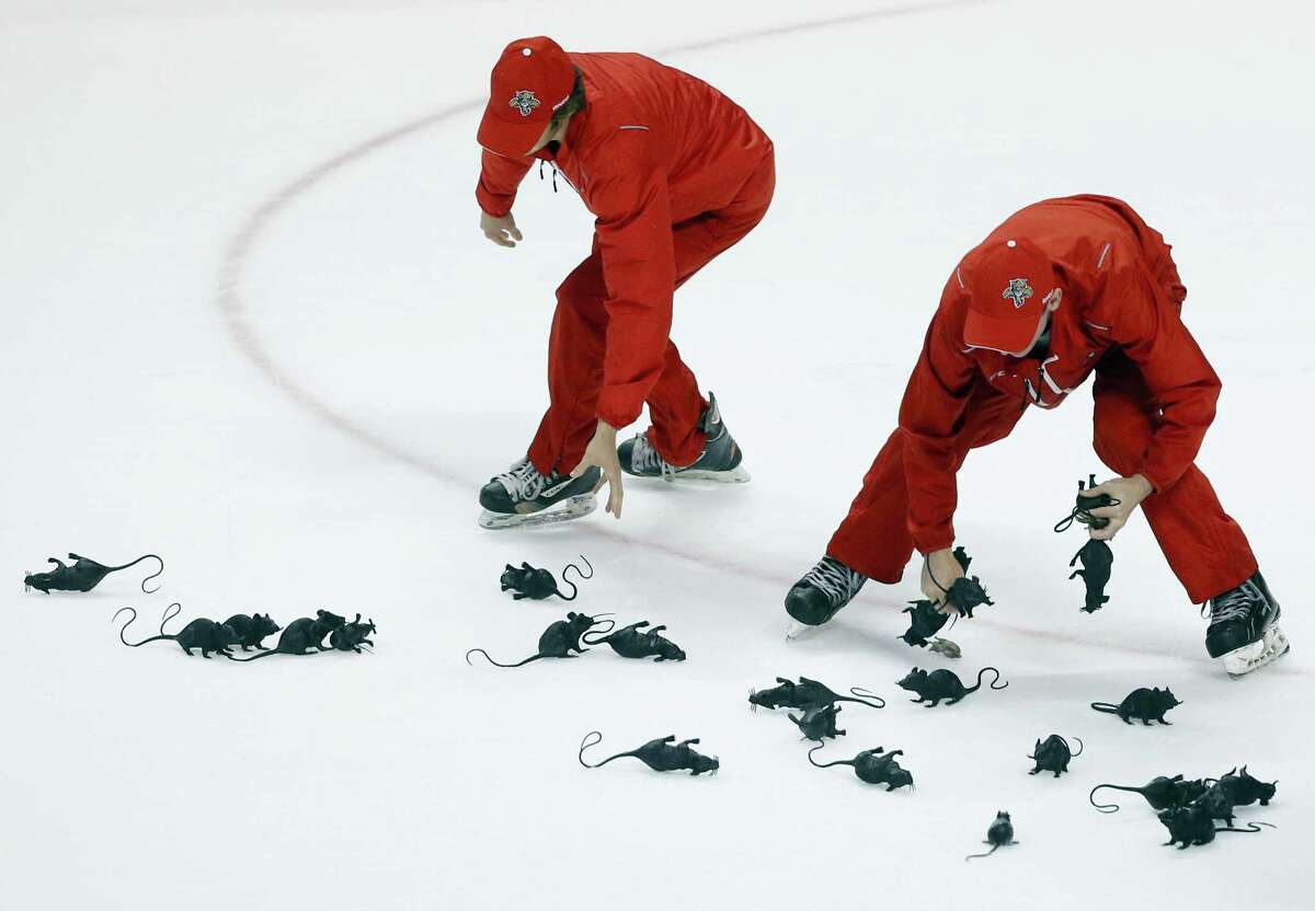 Crews round up rats thrown on the ice by Panthers fans after Florida beat the Islanders in game 2 of their playoff series.