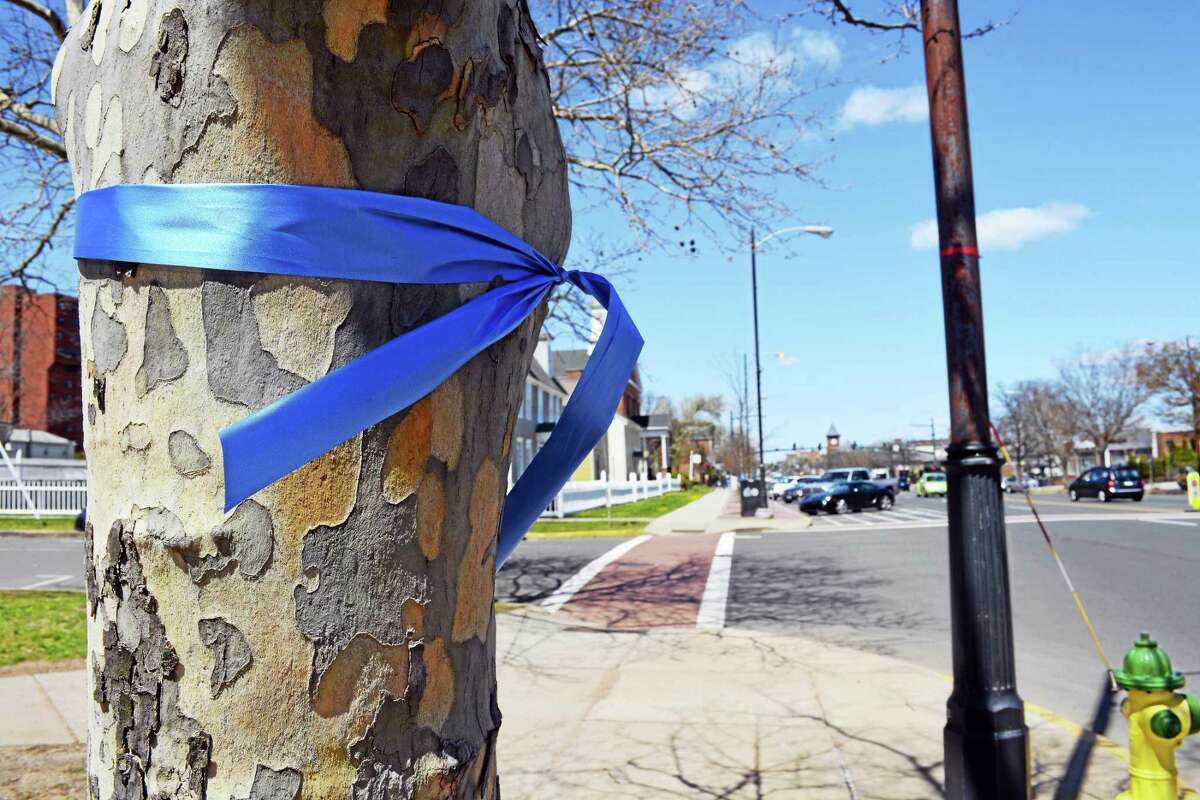 To help honor the member of Barbara Eddinger, who was killed in a March 31 hit-and-run, blue ribbons have been tied around trees lining Main Street in preparation for Sunday’s Harvard Pilgrim Half Marathon & Legends 4-Mile race.