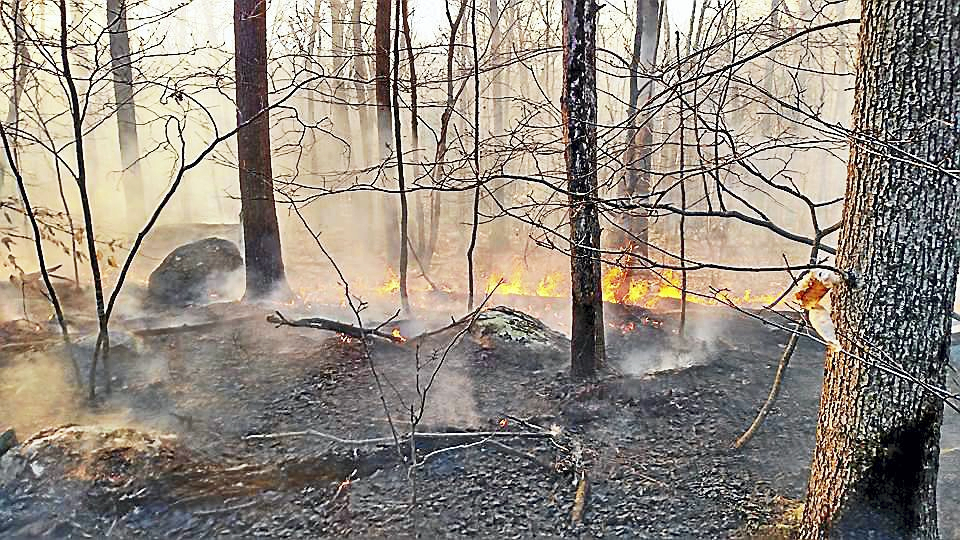 Crews Battle 18 Acre Brush Fire In Portland 9392