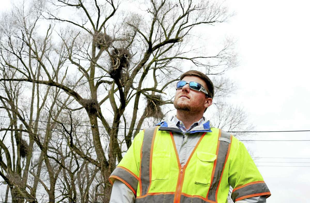 Shawn Crosbie, an environmental analyst for UIL Holdings, near power lines that are near a nesting area for eagles along Ella T. Grasso Boulevard in New Haven.