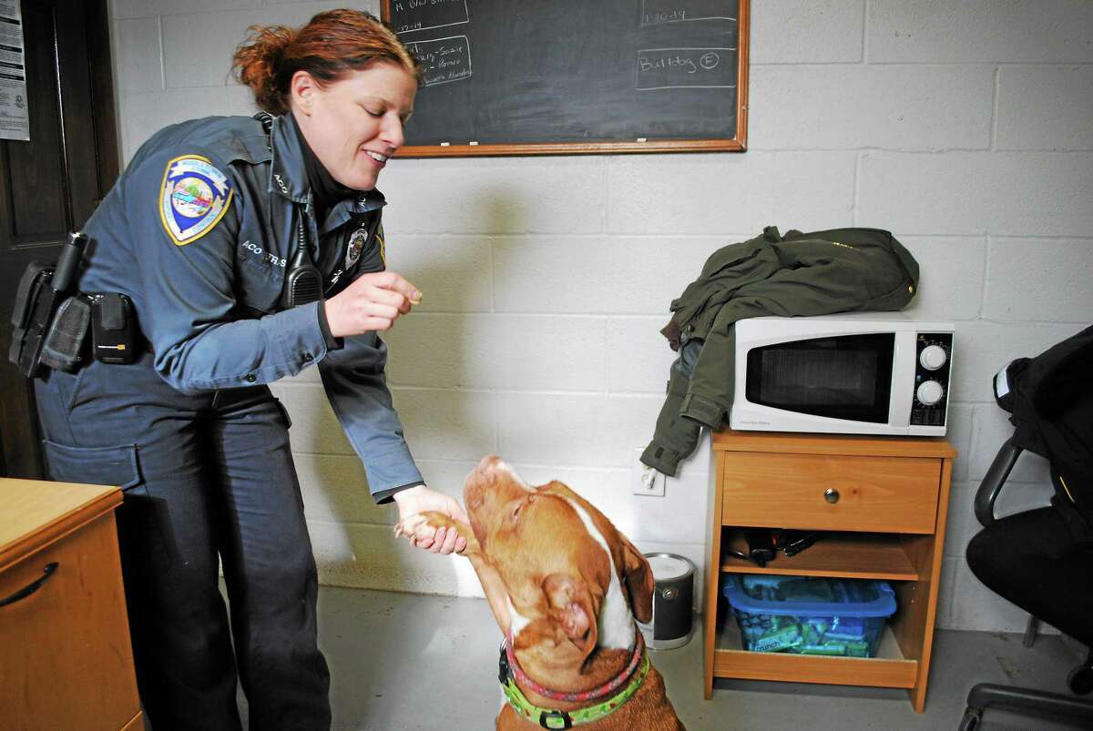 Middletown animal control officer fights for local dog pound Middletown animal control officer fights for local dog pound