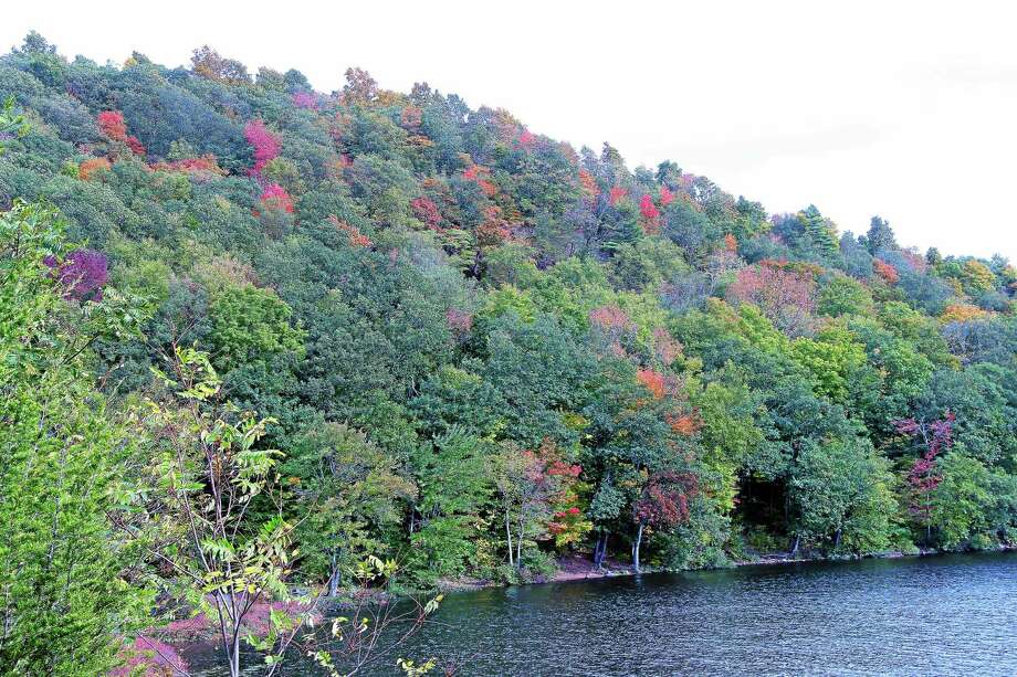 Honda taken in carjacking pulled from Black Pond in Middlefield The