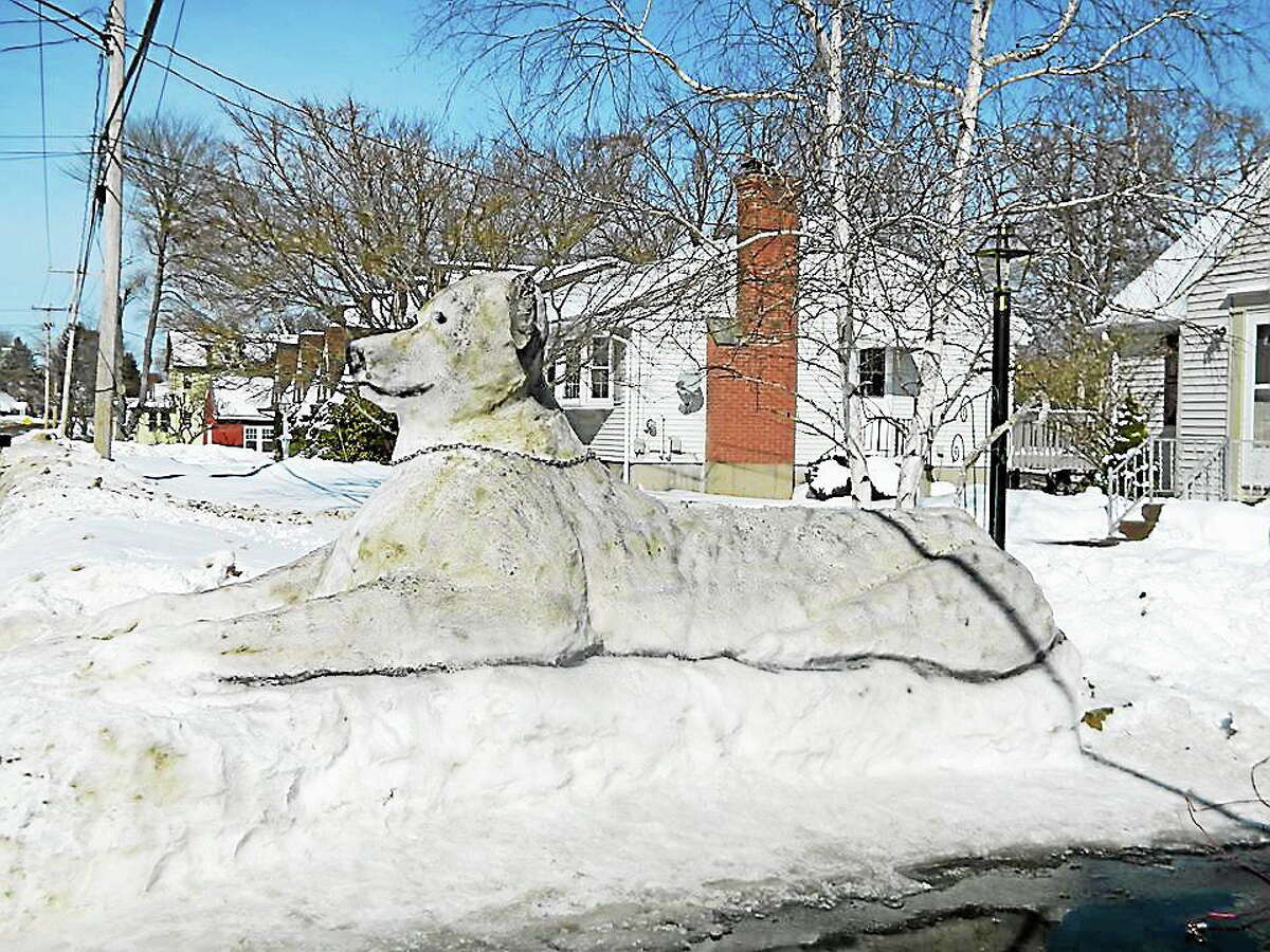 The Malave family on Fowler Avenue in Middletown created their second ever snow animal over the weekend, a replica of the family’s pit bull, Texx.