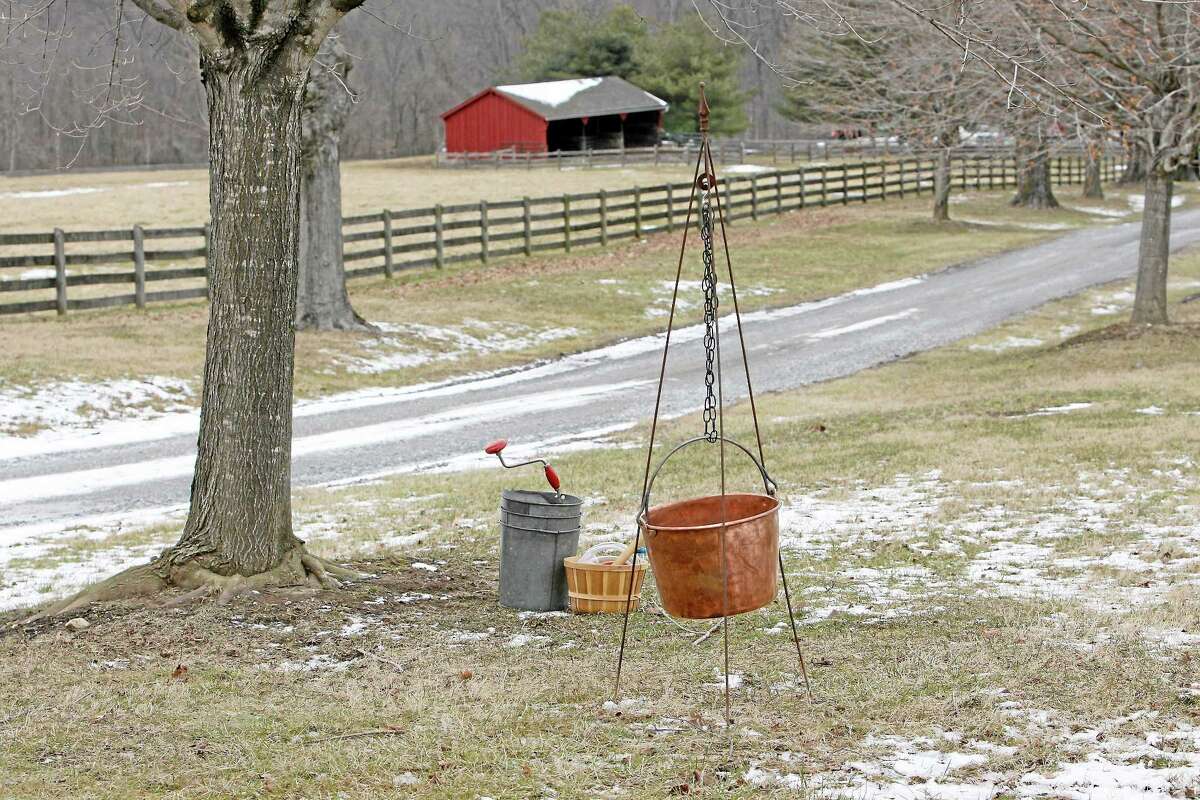 Materials old and new used to make maple syrup sit next to a sugar maple tree. A program on maple syrup will be offered at Cromwell High School on Nov. 23.