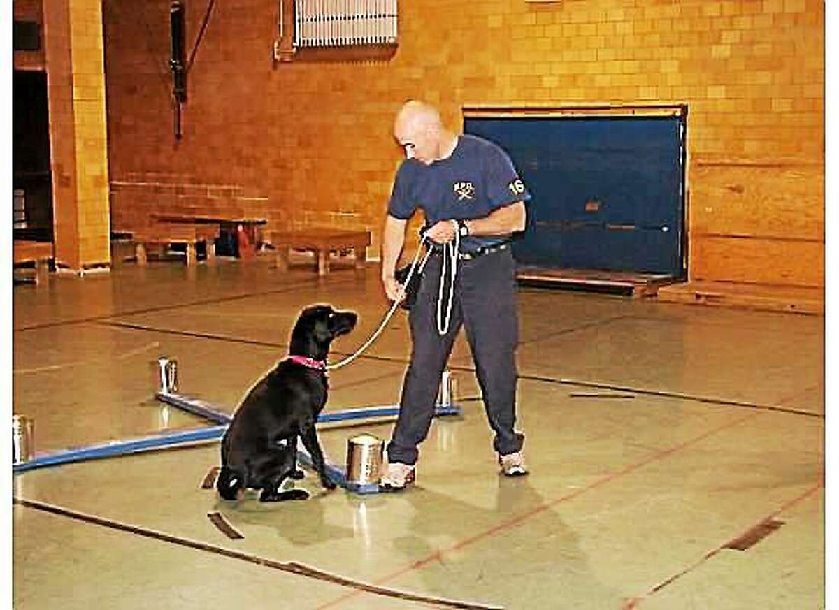 Courtesy Rich Davis Retired Middletown police K-9 Rika died on Dec. 13 from complications of pneumonia.