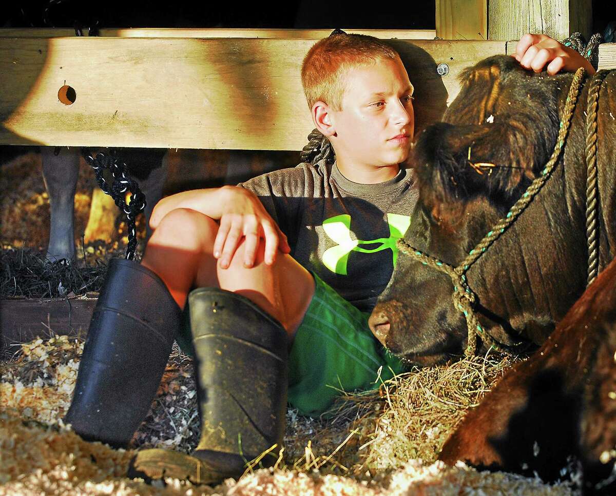 Owen Duff, 13, of OK Corral in Bozrah snuggles with Kemba, a galloway from Serenity Farm in Lebanon at the Haddam Neck Fair in this file photo.