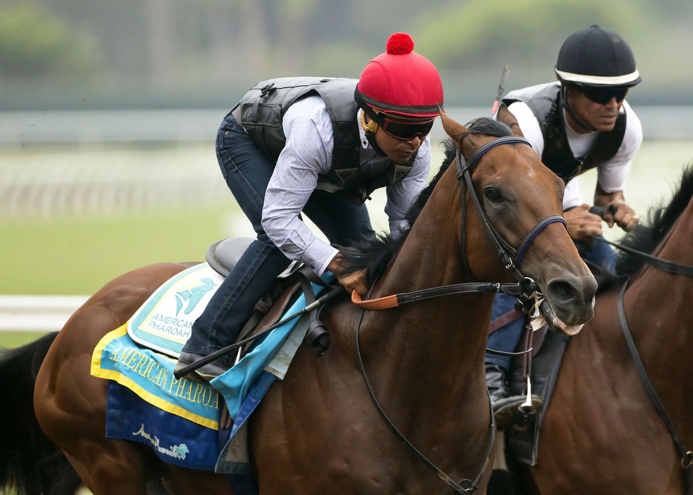 Triple Crown winner American Pharoah will race in Travers Stakes at ...