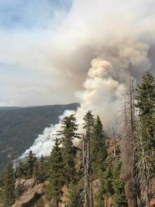 Yosemite fire near Wawona grows to 900 acres