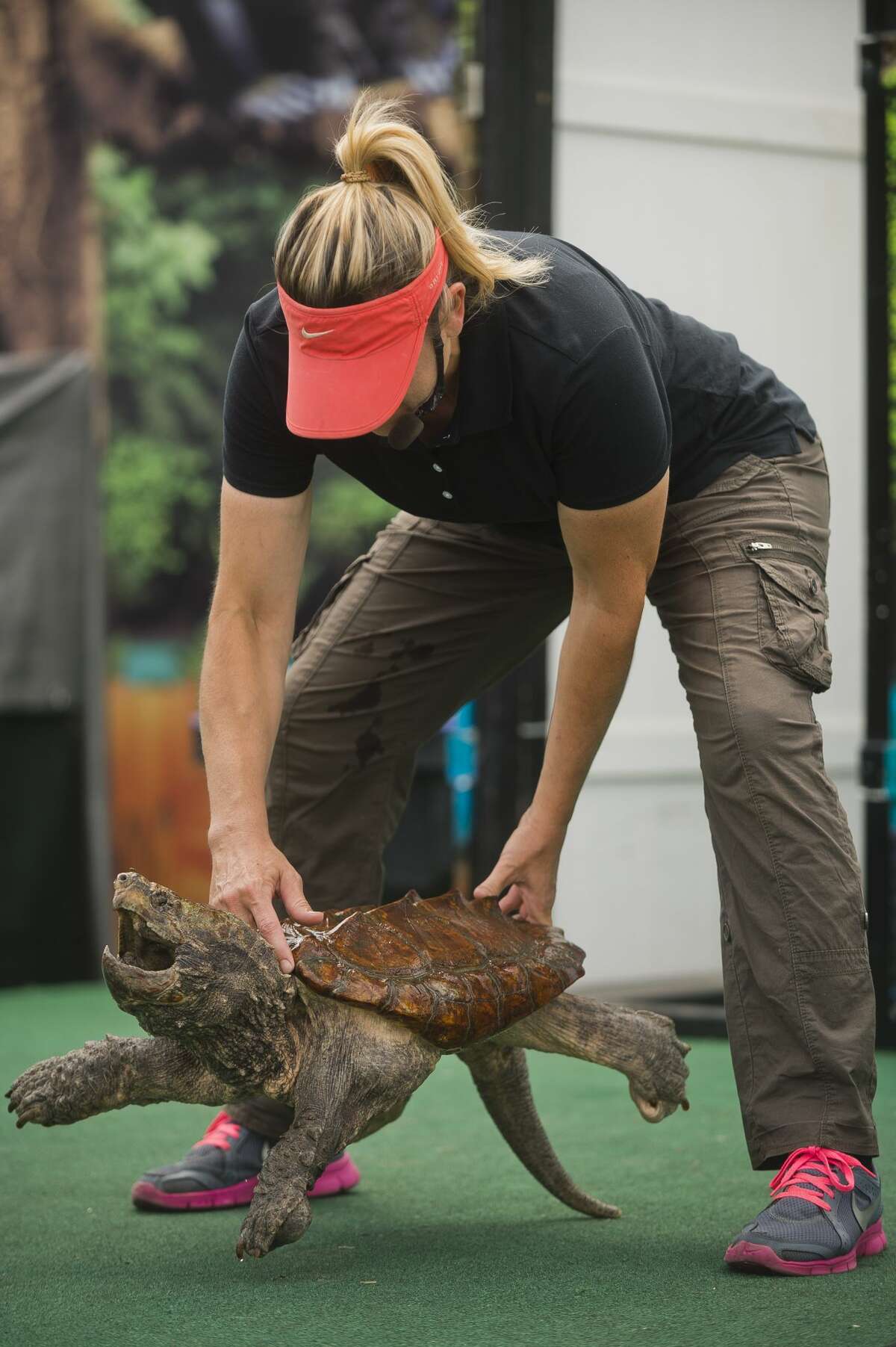 Wild World of Animals show during County Fair