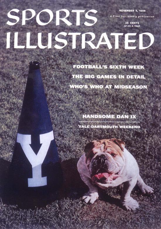 yale bulldog stuffed animal