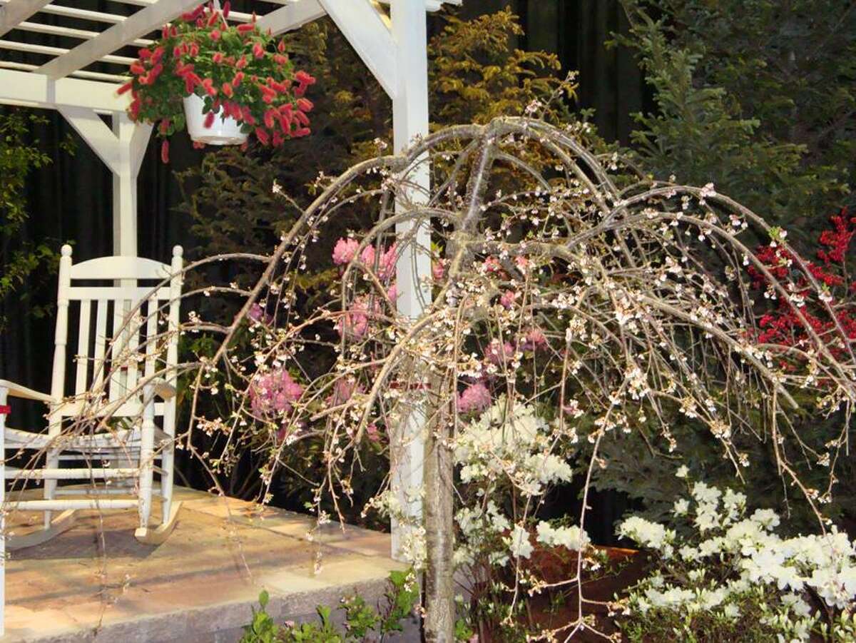 Ct Flower Show Hartford Best Flower Site