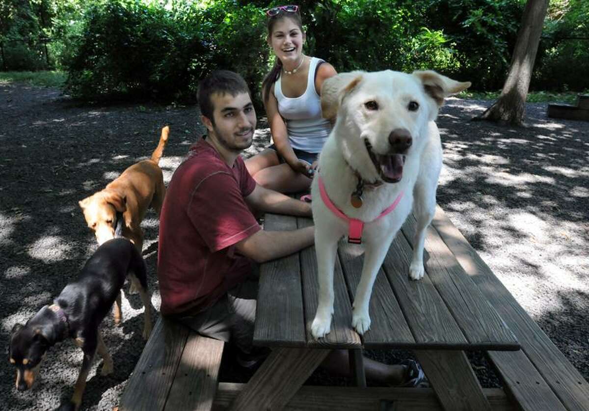 The Hamden Dog Park on Waite St. Park goers Nick Wachter and Maria Manukas both of Hamden with their dog Neno left found the other dogs entertaining including Gracie second from left and Molly on the table. Photo by Mara Lavitt/New Haven Register7/9/11