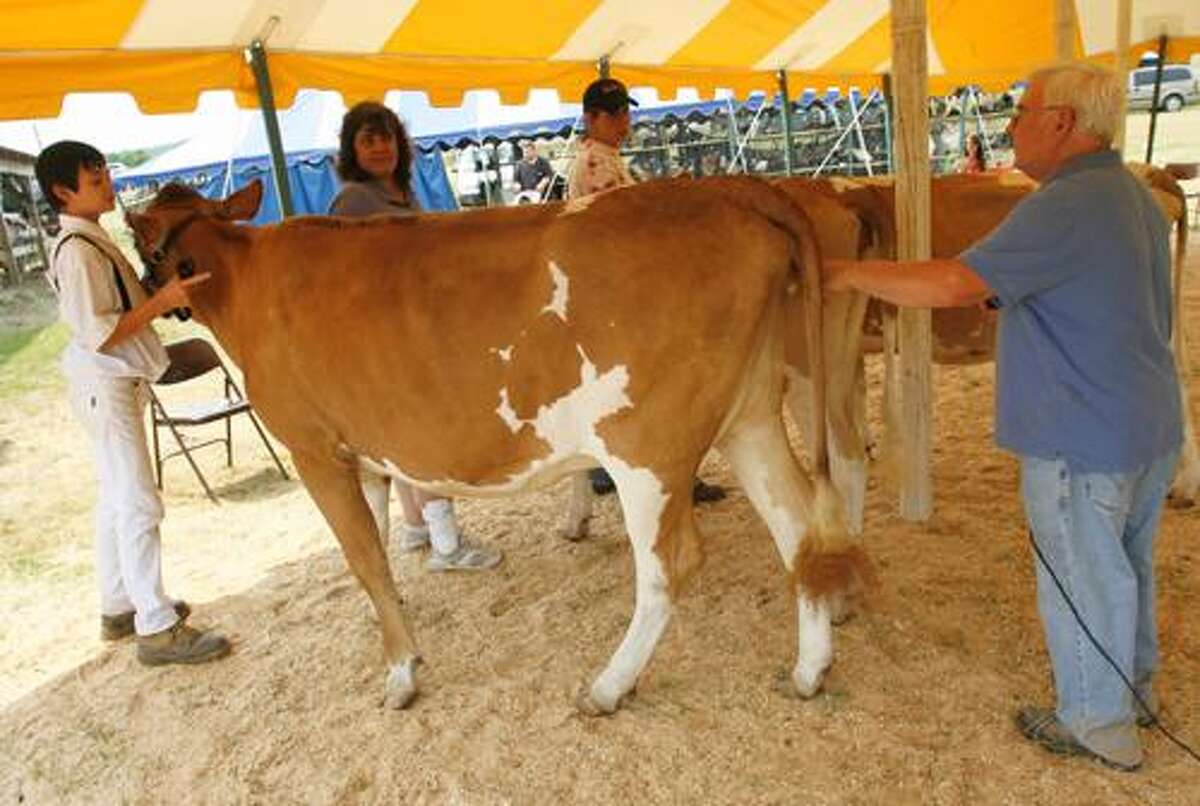Madison County Fair highlights