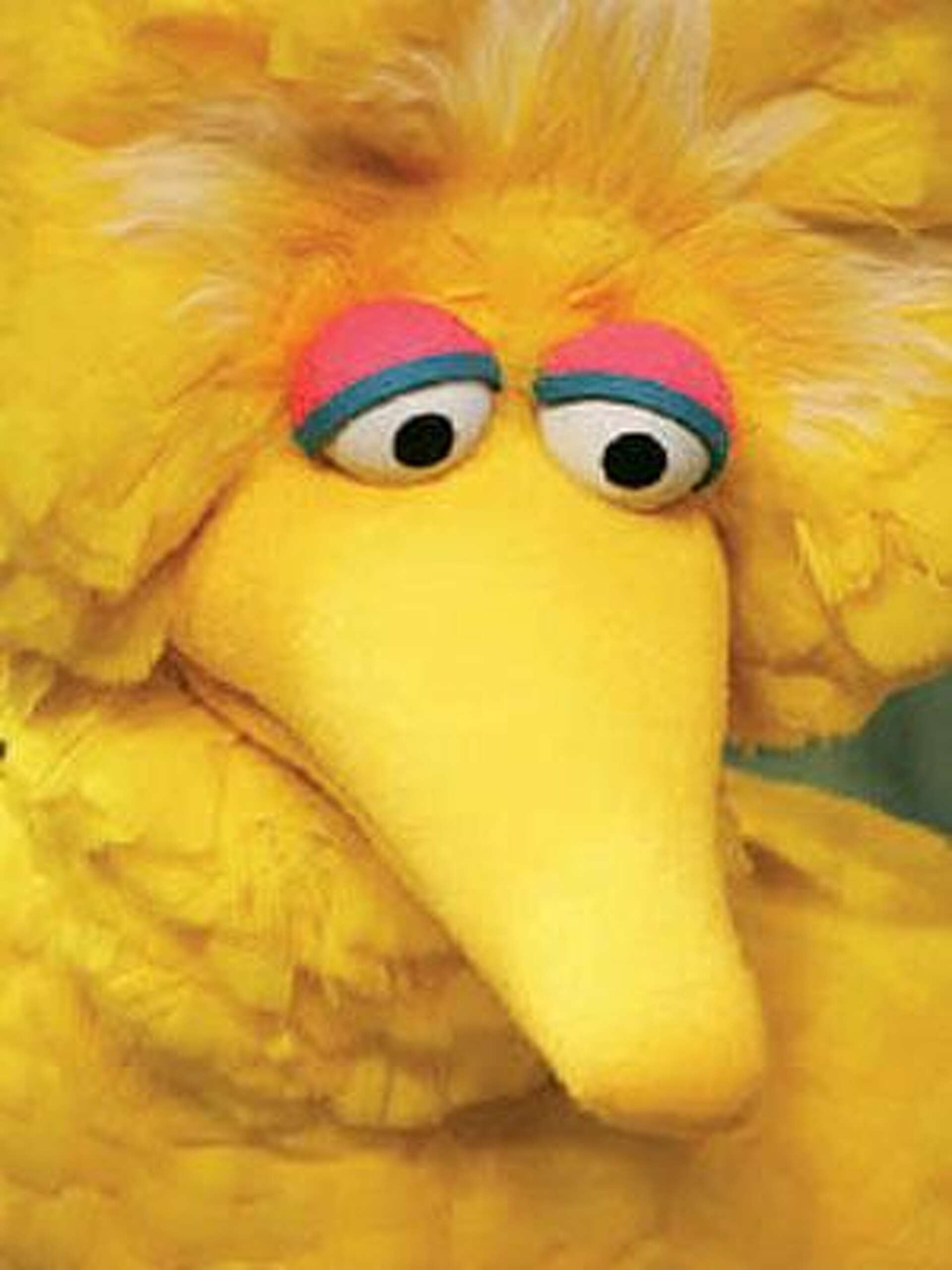 The Birds still big as Sesame Street hits 40