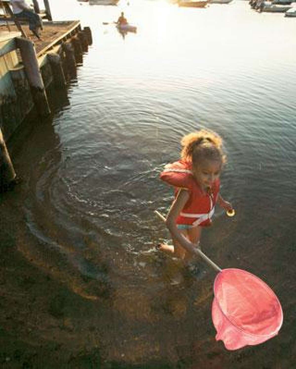 Shine Andersen, 5, of New York, N.Y., carries a fish net as she wades in Nashaquitsa Pond, in Nashaquitsa, on the island of Martha's Vineyard, Mass. Decades before President Barack Obama's expected visit this month, Martha's Vineyard was a summer sanctuary for middle-class black families unwelcome elsewhere. (Associated Press photos)