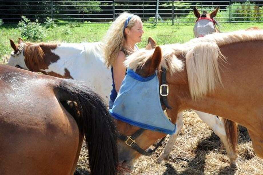 Bethany farm saves animals from slaughter (video) New Haven Register