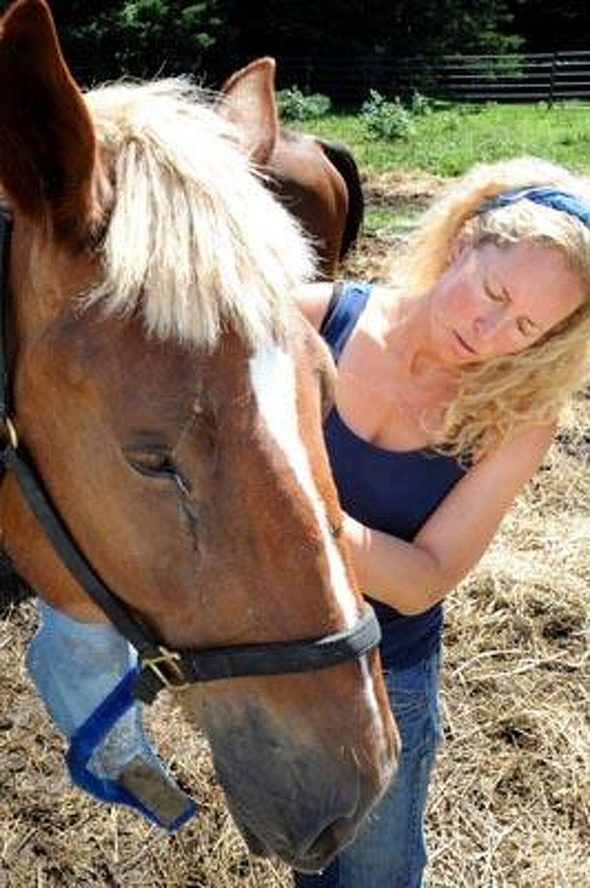 Kathleen Schurman owner of Locket's Meadow Farm with "Trigger" showing the goop coming from the horses eyes due to pneumonia. Schurman was showing the four horses rescued from the slaughterhouse in Tenn and brought to CT all suffering from pneumonia. 7.26.2010 VM Williams