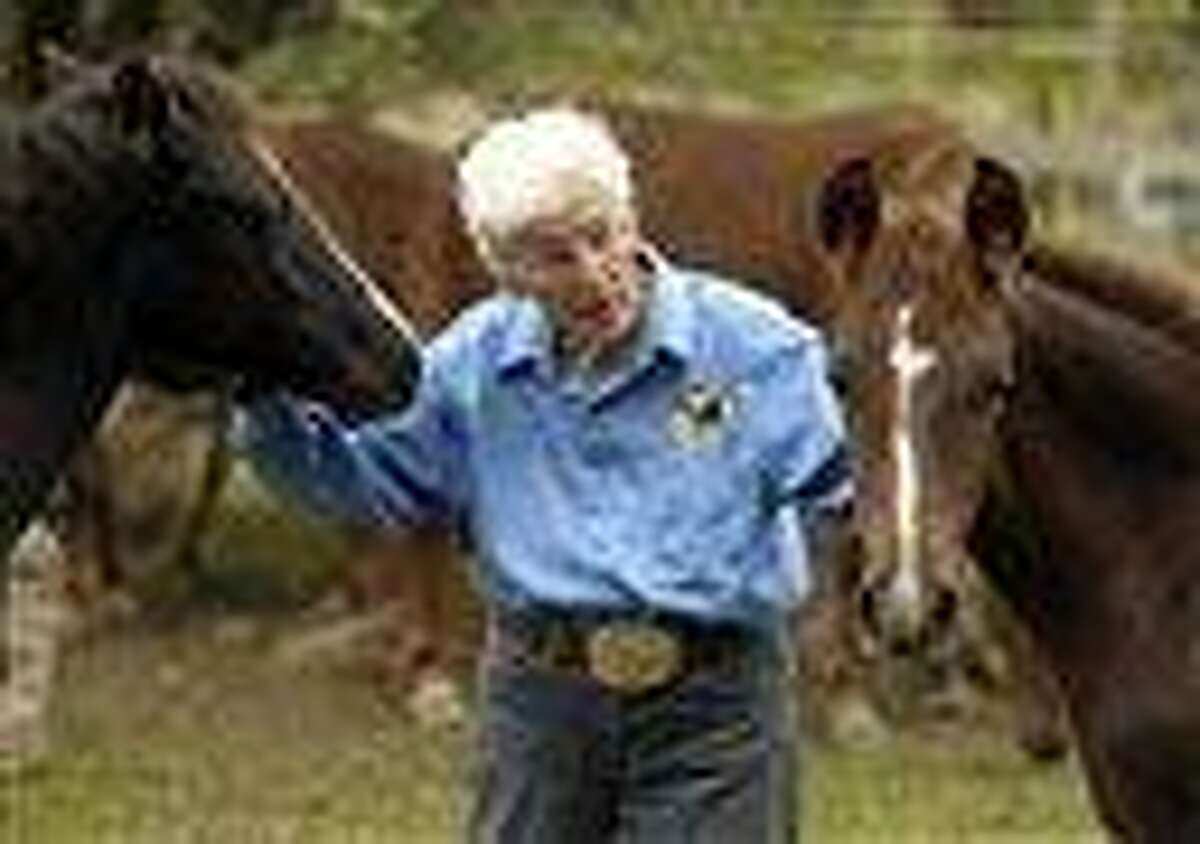 Mary Jean Vasiloff greets some of her Morgan horses at McCulloch Farm in Old Lyme, Conn., Thursday, September 27, 2012. A combination of factors, including financial difficulties from the recession and a dwindling market for the horses she breeds, have made it difficult to continue breeding Morgans, she said. The market has become divided between people acquiring high-end breeds overseas or rescued horses, according to Vasiloff. (AP Photo/The Day, Sean D. Elliot)
