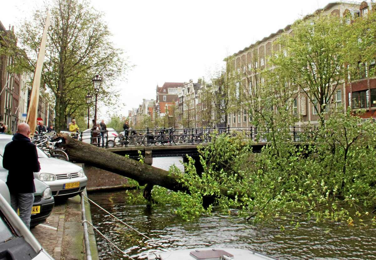 A fallen mature tree blocks the Herengracht canal in Amsterdam, Monday, Oct. 28, 2013. A major storm with hurricane-force gusts lashed southern Britain, the Netherlands and parts of France on Monday, knocking down trees, flooding low areas and causing travel chaos. Amsterdam police said a woman was killed when a tree fell on her in the city and Dutch citizens were warned against riding their bicycles because of the high winds. (AP Photo/Margriet Faber)