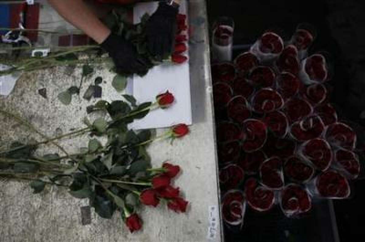 A worker selects roses for export before Valentine's Day at Elite Flowers in Facatativa February 6, 2013. REUTERS/John Vizcaino
