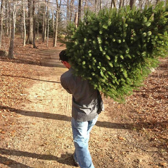 Haddam firefighter converts to artificial Christmas tree after seeing