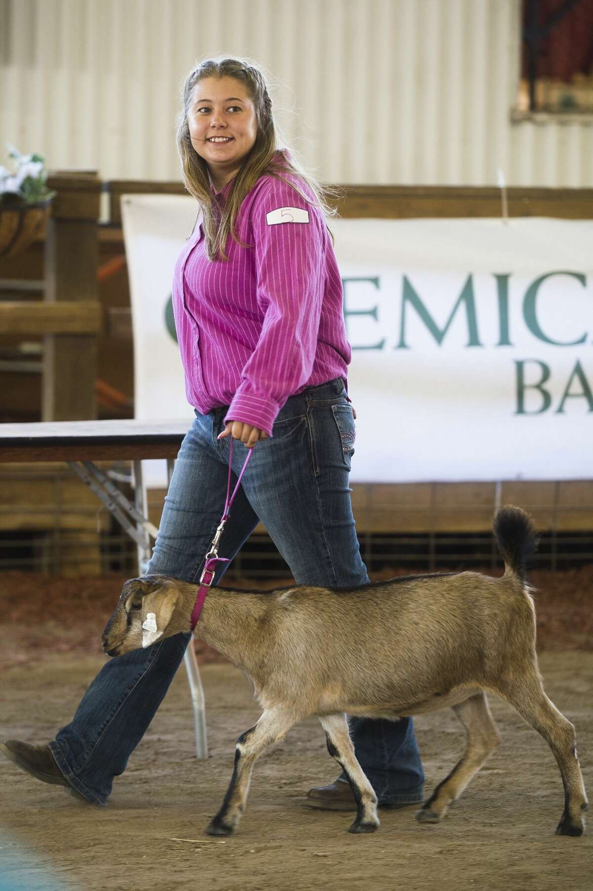 Bryton Lalonde auctions off her goat during the Midland County Fair small animal auction on Wednesday, August 16, 2017 at the Midland County Fairgrounds.