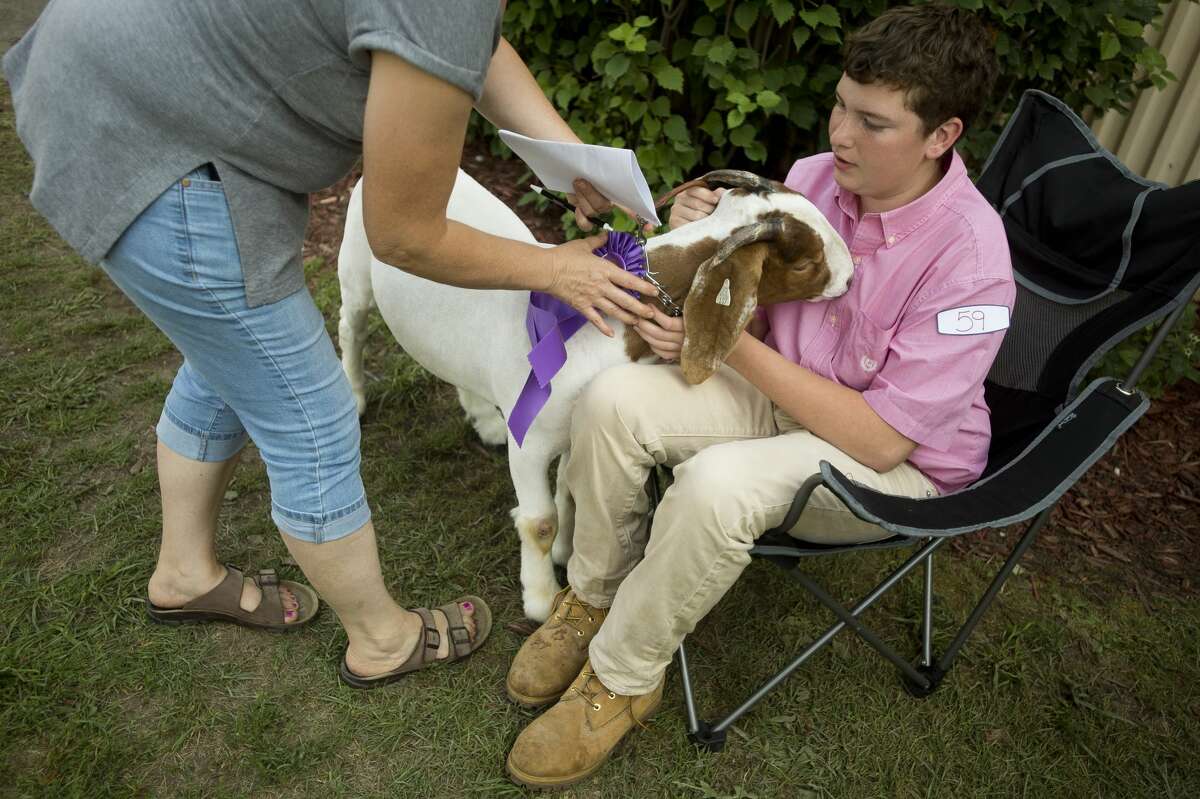 Joel Myers of Breckenridge sits with his 4-H goat, El Toro Loco, before the Midland County Fair small animal auction on Wednesday, August 16, 2017 at the Midland County Fairgrounds.
