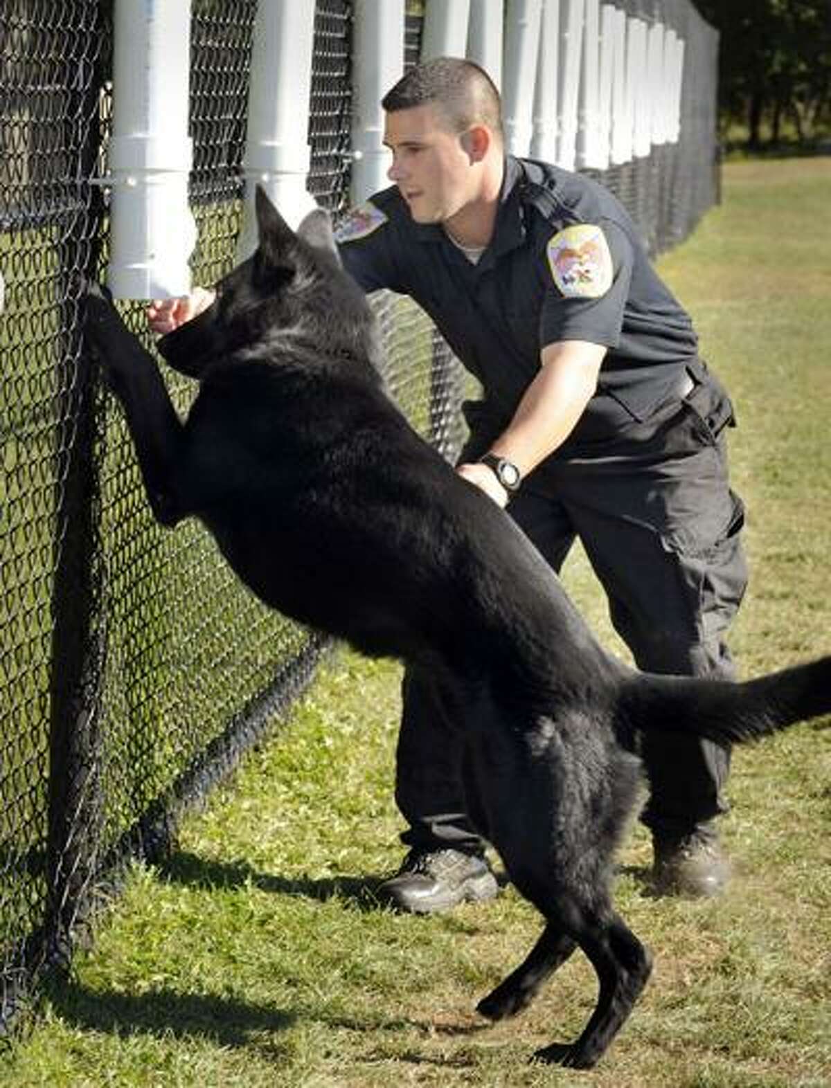 Danbury Police Officer Greg Topa teaches Zeke how to sniff out narcotics on Sept. 20. (AP)