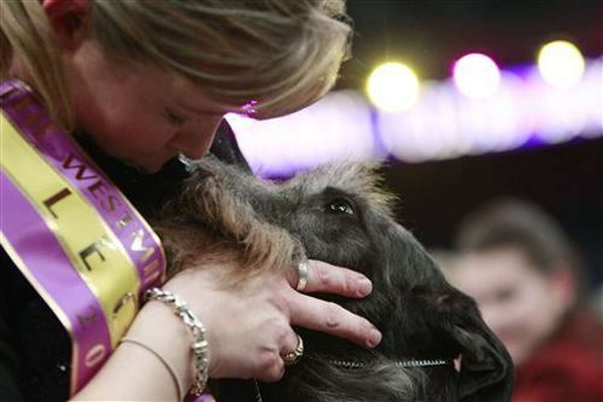 Handler Angela Lloyd kisses Hickory, a Scottish deerhound, after the 135th Westminster Kennel Club Dog Show Tuesday, Feb. 15, 2011, at Madison Square Garden in New York. Hickory won best in show. (AP Photo/Frank Franklin II)