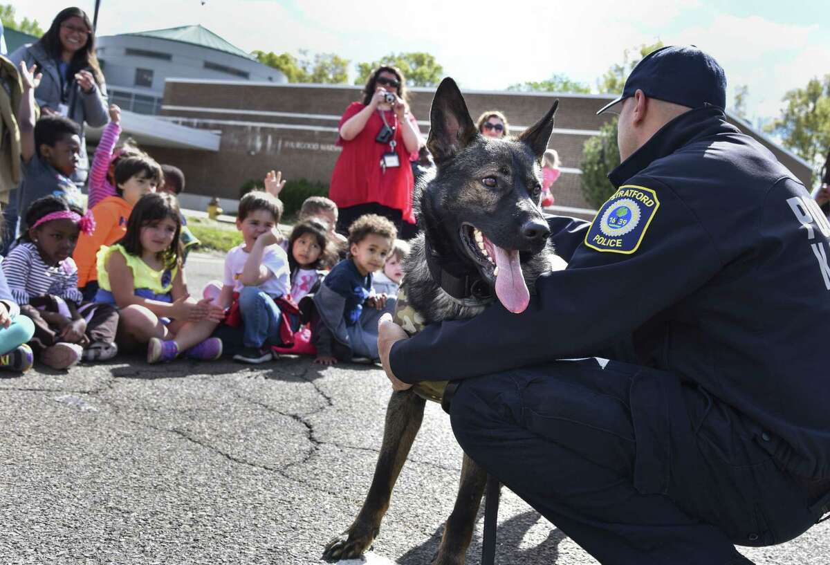 Stratford Police dog Hex meets students at Six to Six Magnet School in Bridgeport, Conn. on Friday, May 12, 2017. The school's student council fundraised $1,200 for Hex's new vest by selling carnations and organizing a school dance.