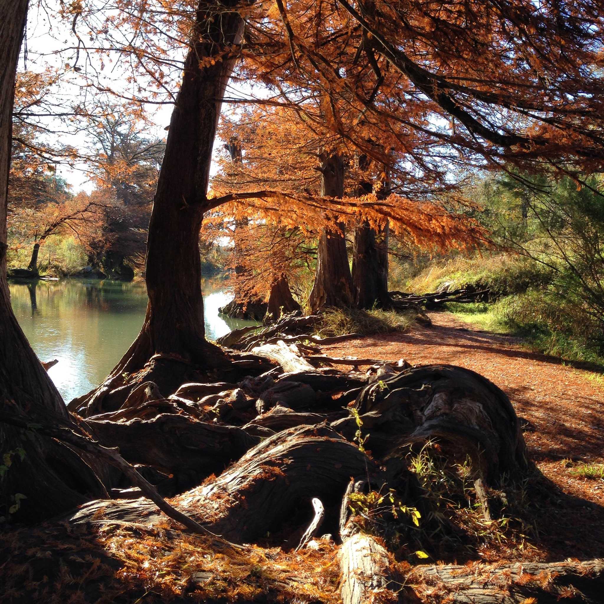 Where to see the most colorful fall leaves in Texas