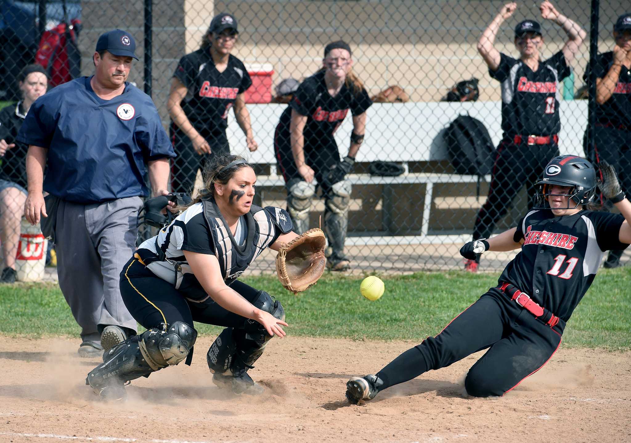 Photos of Amity vs. Cheshire Softball