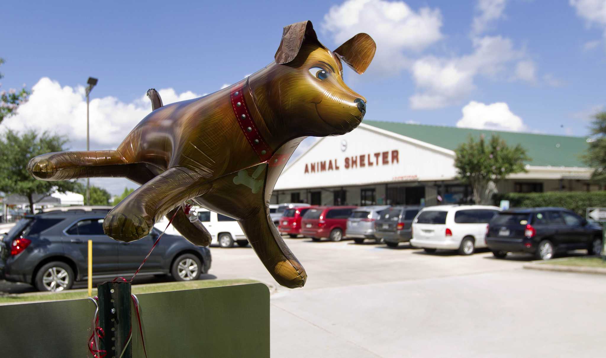 Dozens travel to Montgomery County Animal Shelter adoption drive