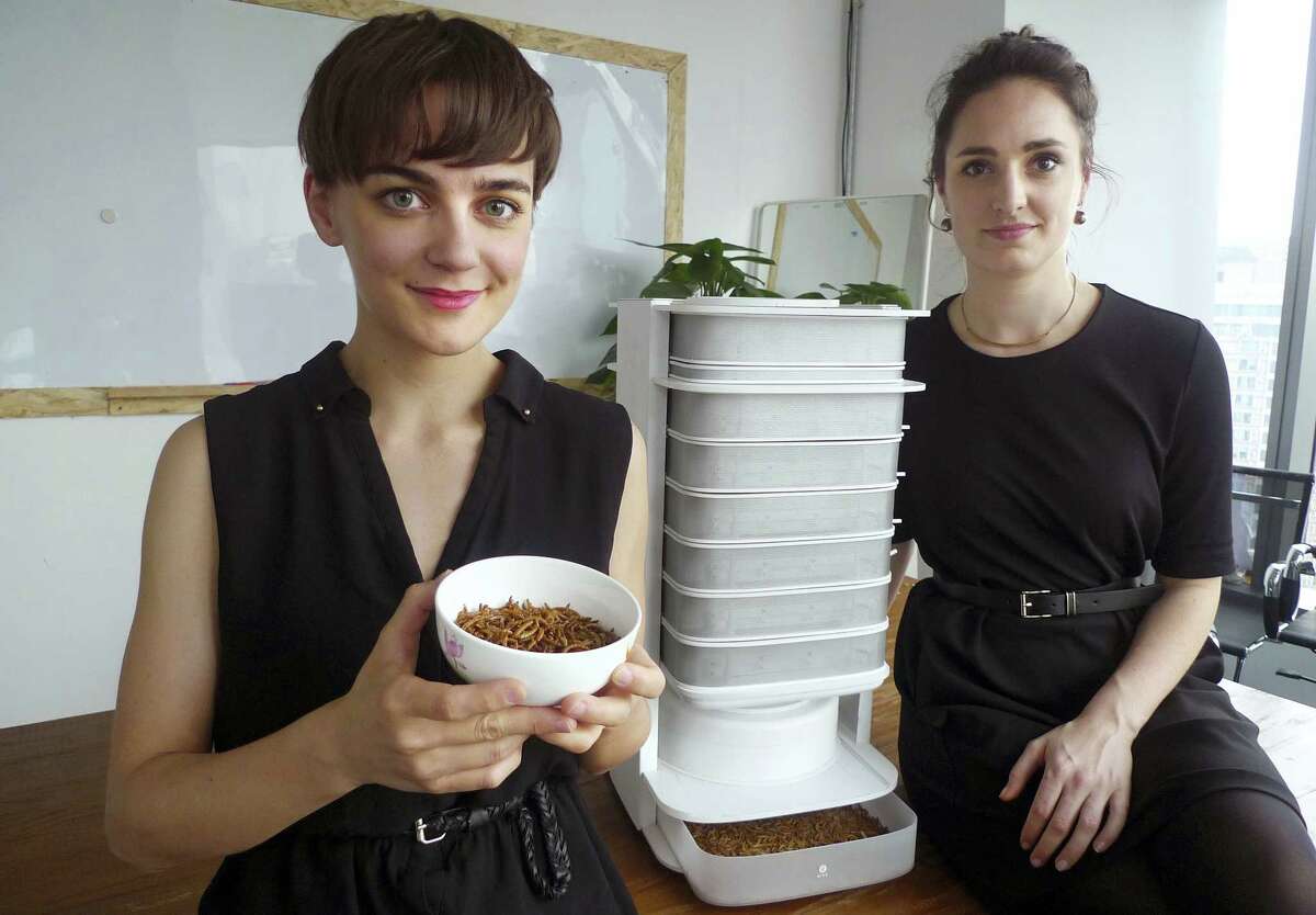 (Kelvin Chan — The Associated Press) Katharina Unger, left, and Julia Kaisinger, co-founders of startup Livin Farms, pose next to a prototype of the desktop insect hive that they’re developing at the Hax hardware “accelerator,” which will allow people to grow mealworms at home for food in Shenzhen, China.