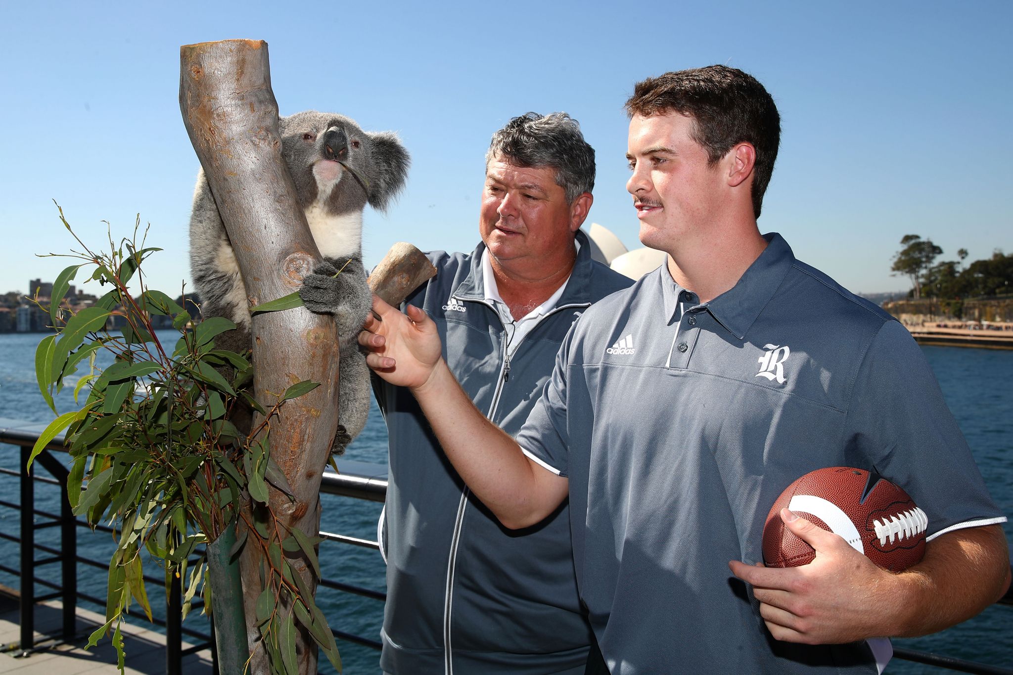 Jet Toner, Jake Bailey and David Shaw of the Stanford Cardinal, NSW News  Photo - Getty Images