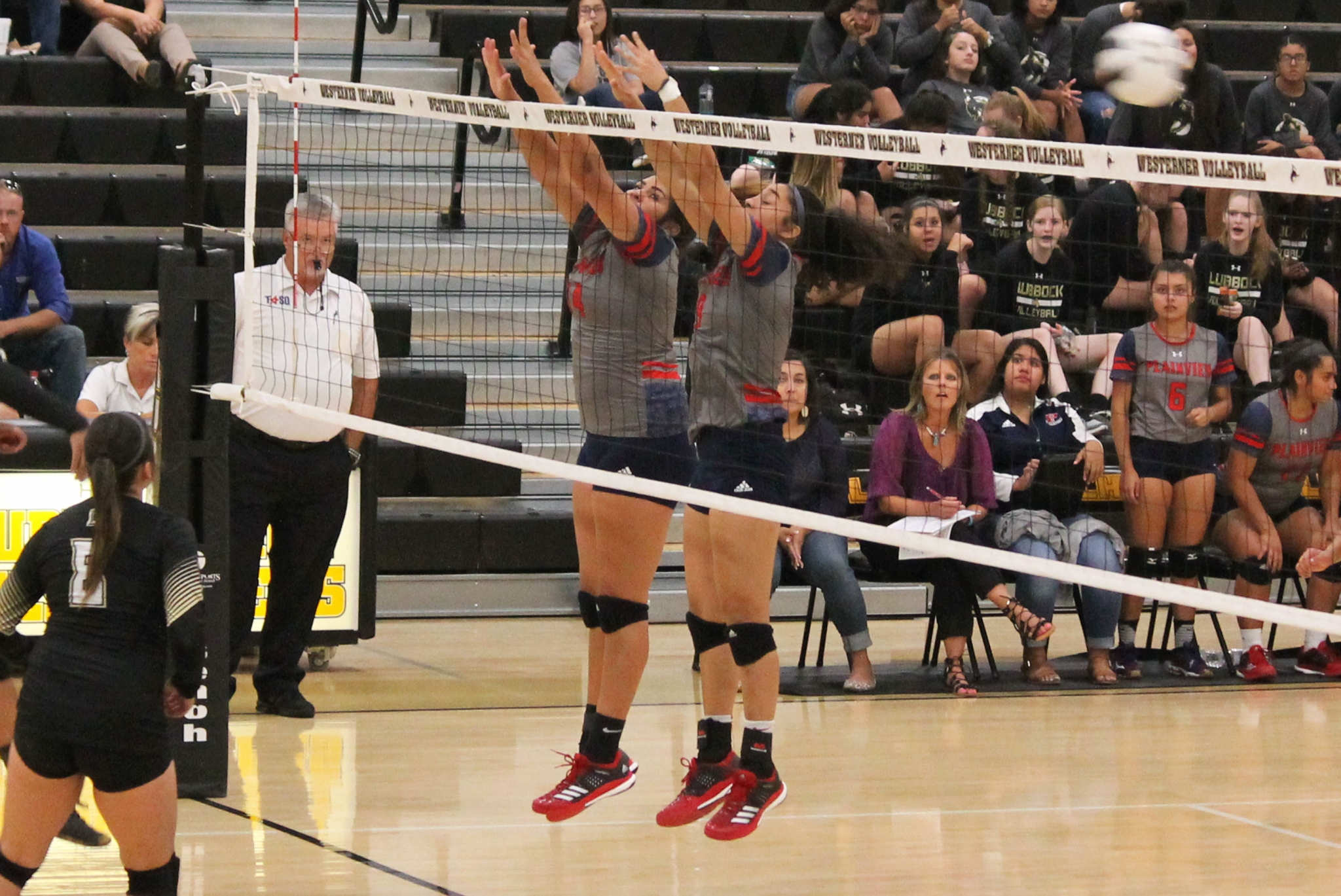 Lady Bulldog Volleyball Sweeps RIver Road in Three