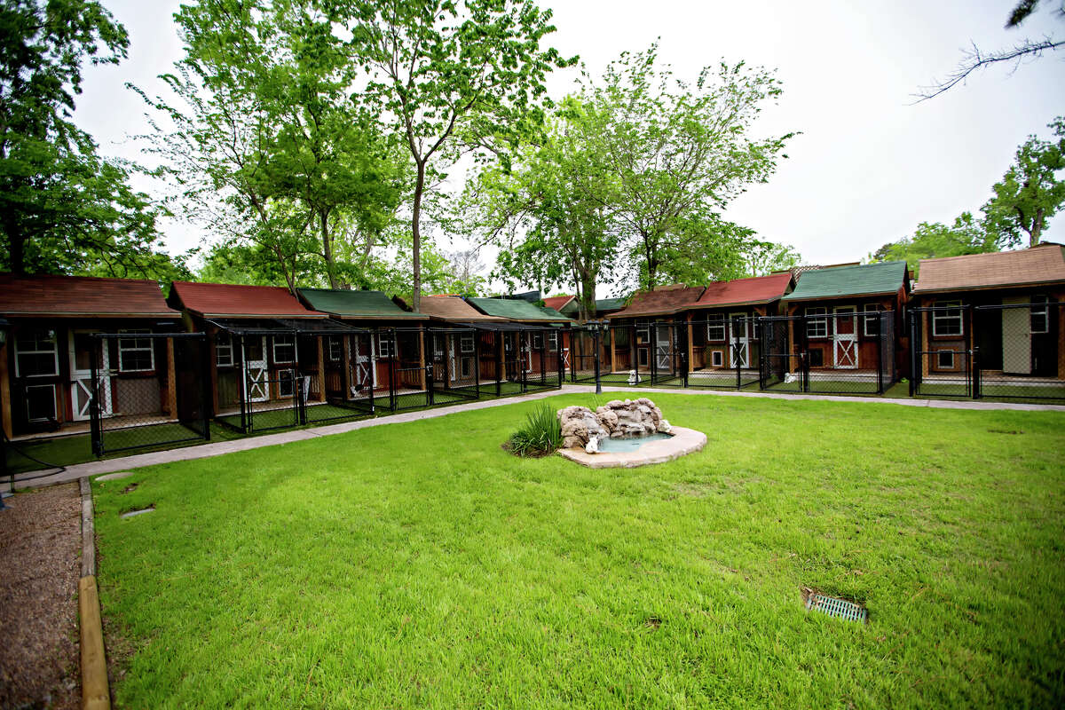 'Dog Ranch' offers private cabins and doggy spa days in Spring Branch