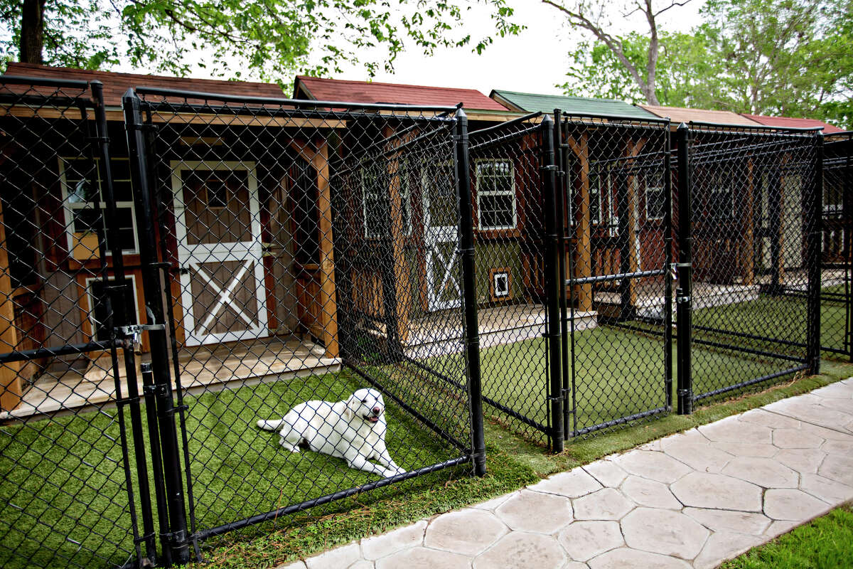 'Dog Ranch' offers private cabins and doggy spa days in Spring Branch