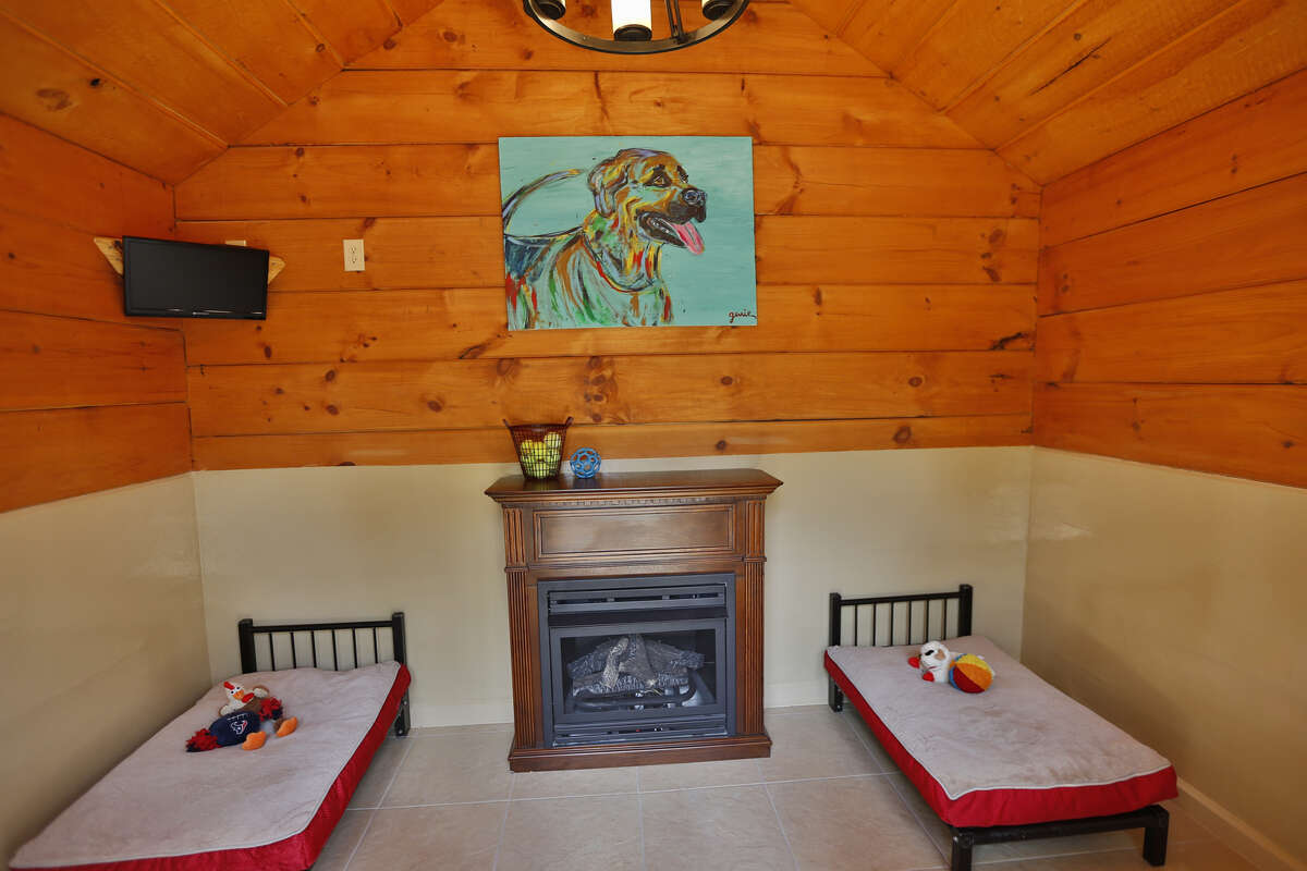 'Dog Ranch' offers private cabins and doggy spa days in Spring Branch