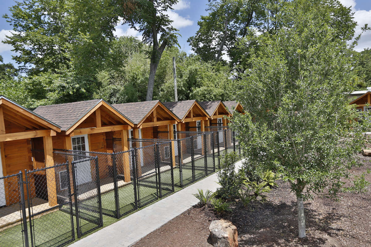 'Dog Ranch' offers private cabins and doggy spa days in Spring Branch