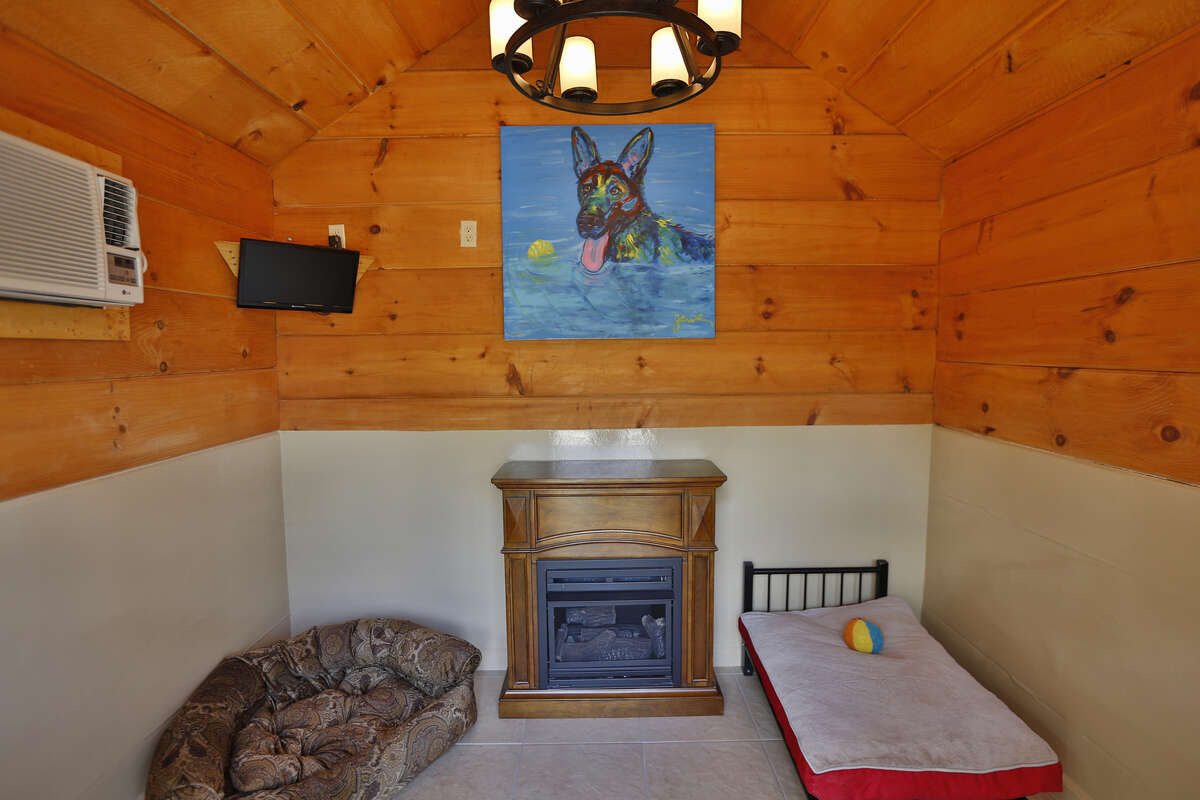 'Dog Ranch' offers private cabins and doggy spa days in Spring Branch