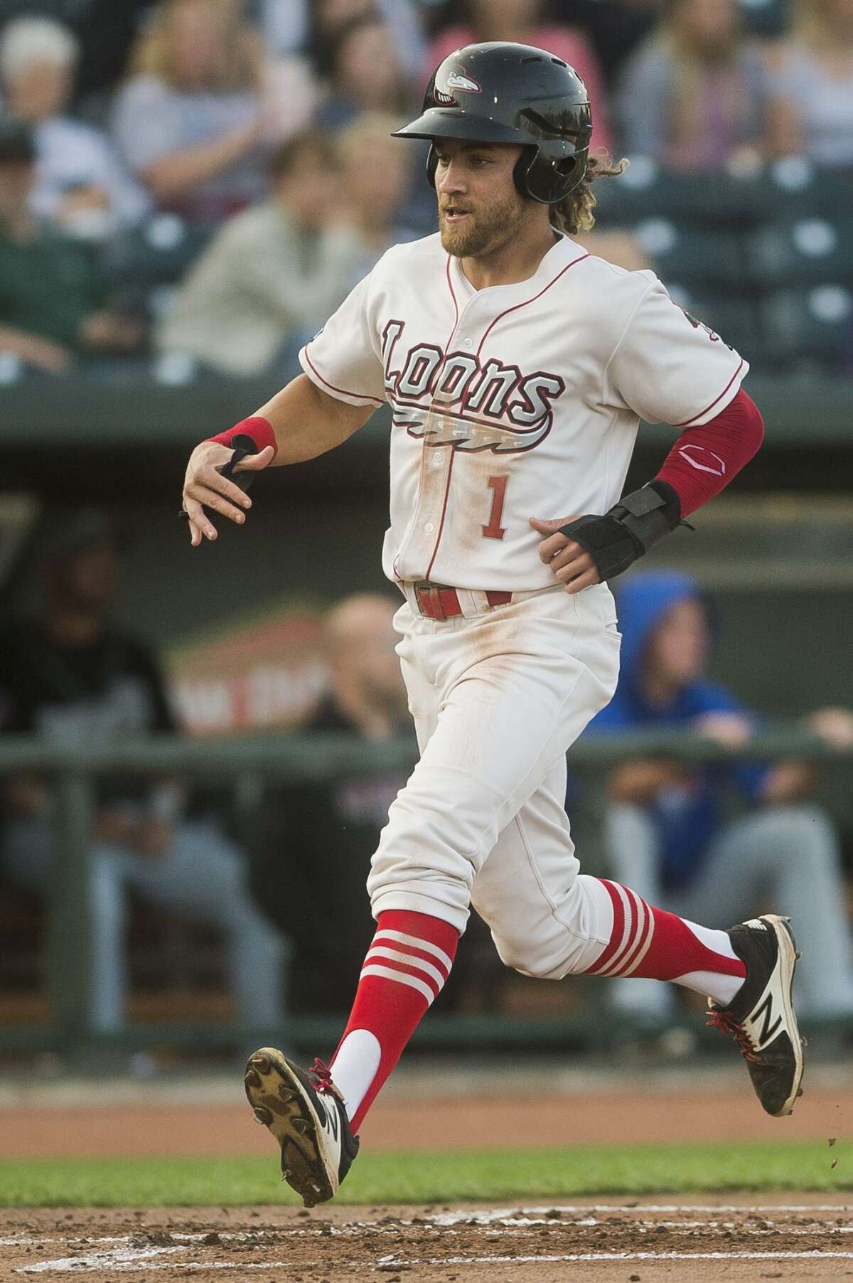 Great Lakes Loons vs. Lansing Lugnuts Aug. 23, 2017