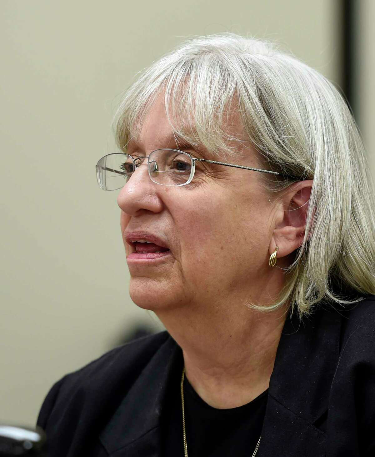 Risa Sugarman, enforcement council for the New York State Board of Elections during the board meeting today Sept. 26, 2014 at their offices in Albany, N.Y. (Skip Dickstein/Times Union)