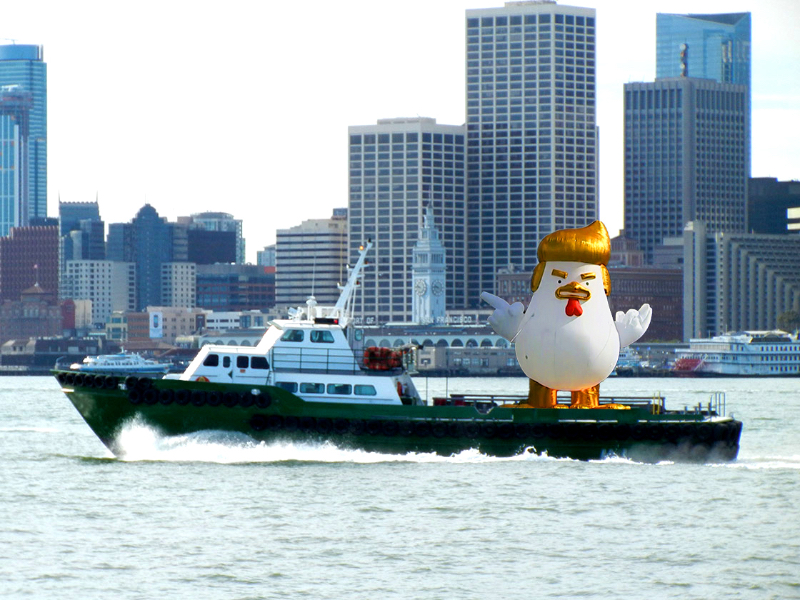 Heres Why Theres A Giant Inflatable Trump Chicken Cruising Around