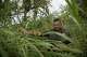 U.S Customs and Border Protection Operations Officer David Vera walks among the tall grass taking a look at the terrain near the end of the fenced area of the border of Del Rio with the Rio Grande river, Wednesday, Aug. 16, 2017.