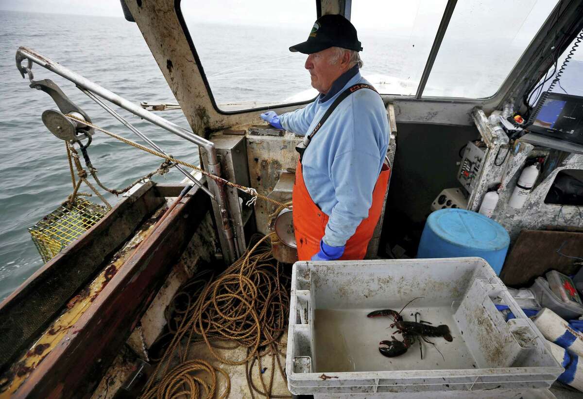 In this May 2, 2016 photo, Richard Sawyer, Jr., fishes on Long Island Sound off Groton, Conn. Sawyer said he says he now catches less in a week than he used to catch in half of a day. Scientists say populations of lobsters off of Connecticut, Rhode Island and southern Massachusetts have declined as waters have warmed.