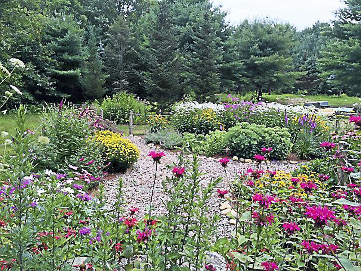 Gardens can be planted that will attract butterflies for new habitats. The Pomperaug Garden Club will discuss them during a film and presentation at Flander Nature Center on March 23.