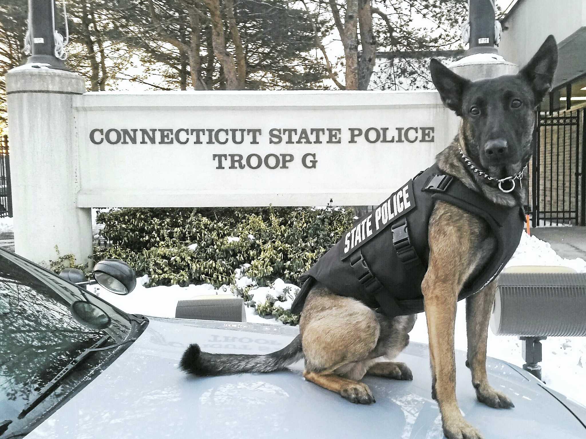 State Police K9 Receives New Body Armor