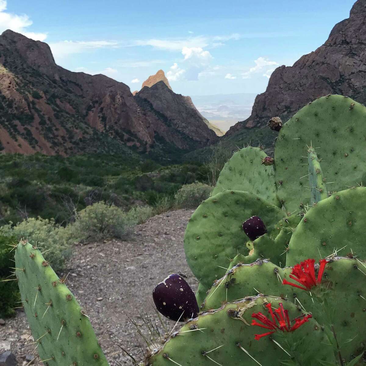 Everett Townsend - Big Bend National Park (U.S. National Park Service)